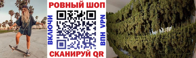 Как найти наркотики Беломорск Конопля  АМФЕТАМИН  ГАШИШ  СК 